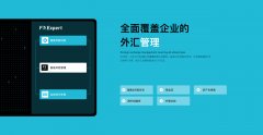 110外汇平台官网而发达国