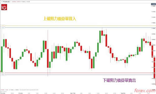 mt4交易手数查询交易者都
