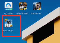 刺激战场国际服用什么账