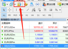 在Mt5上面怎么查看可以交