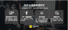 投资者可以根据自己的喜