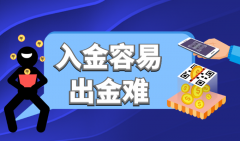 可与MT4交易账户/实物黄