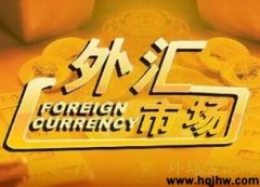 网上外汇交易平台网上外