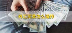 以外币计值的外国资产在