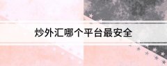 开云官方入口区分套牌公