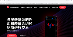 高端网上外汇交易平台旨