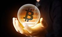 鑫圣金业官网登录tp开头