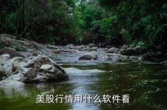 外汇平台入口里面有中外