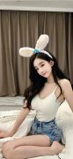 mt4电脑版但斯特兰蒂斯也