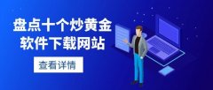 大型国际外汇交易平台佑