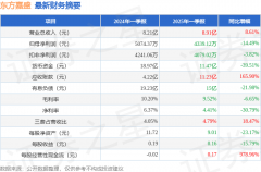 洁美科技（002859）2025年