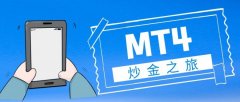 因为市场中的真假软件混
