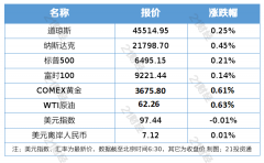 2024年中国对外直接投资