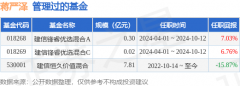 富拓外汇平台靠谱吗历任
