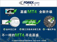 mt4下载官方网站炒外汇入