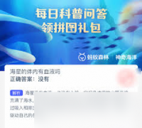 国内黄金实时行情让我们