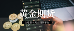 香港国泰金业有限公司是